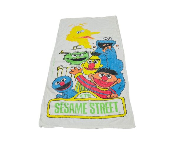 Sesame Street Beach Bath Towels Big Bird Ernie Bert Oscar Cookie 24x48