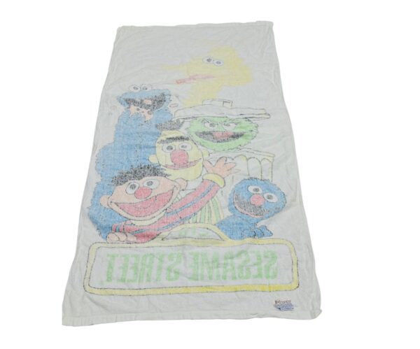 Sesame Street Beach Bath Towels Big Bird Ernie Bert Oscar Cookie 24x48 - Image 3