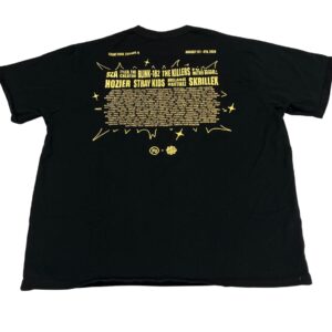 Lollapalooza Joe Freshgoods Y2K Tshirt size L