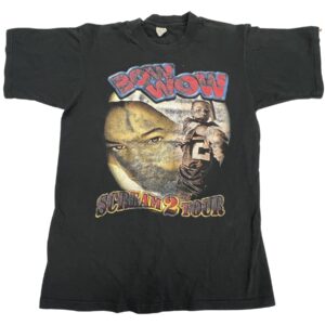 Vintage 2000s Lil Bow Wow Rap Tee “Take Ya Home” Scream 2 Tour