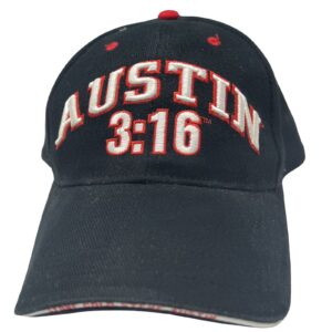 Rare Vintage WWF Stone Cold Steve Austin3:16 Skull Snapback Attitude Era Mint