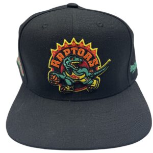 Mitchell & Ness Toronto Raptors 20th Anniversary Fitted Hat 7 5/8 NBA MINT