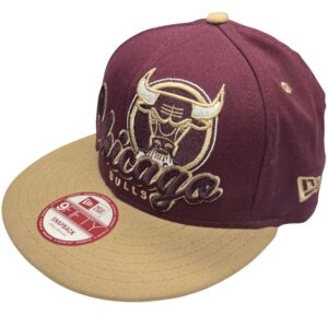 New Era Chicago Bulls Hardwood Classics Snapback Hat NBA Retro Cap