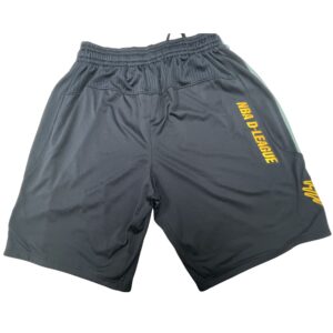 Adidas Memphis Grizzlies Player Issued Shorts L +2 NBA D-League Basketball