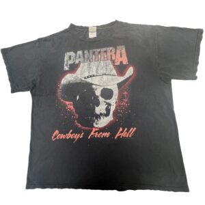 00s VTG Y2 Pantera Cowboys From Hell T Shirt L Delta Pro Weight Distressed Metal